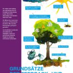 Illustration für Plakat