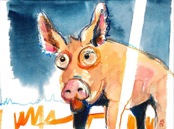 Schweinchen Schlau @Antje Burisch