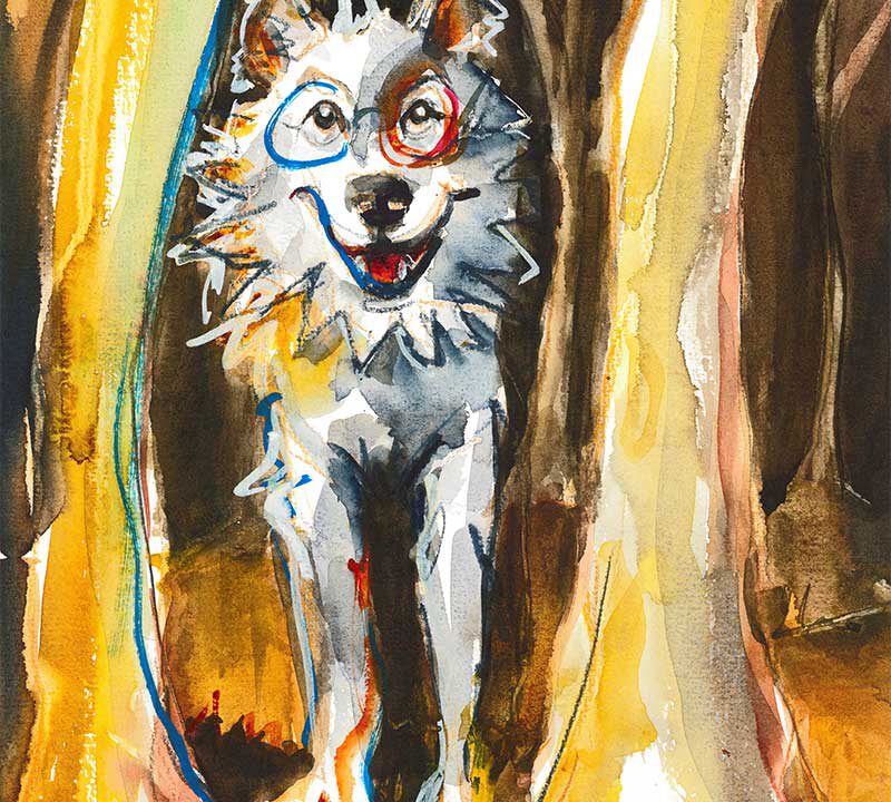 Wolf II @Antje Burisch